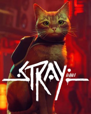 Stray PS4 & PS5